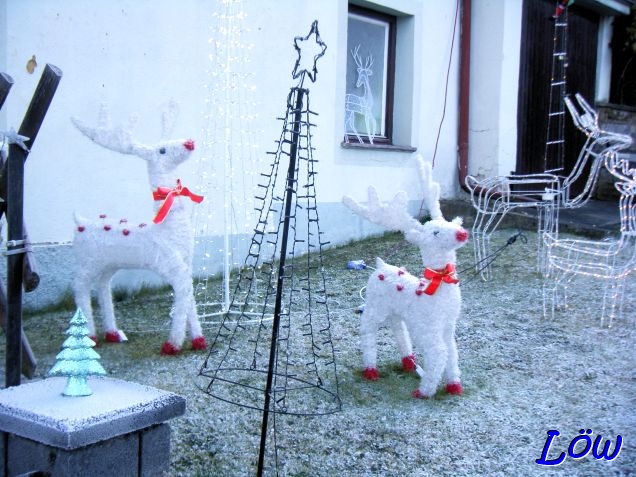28.12.2024 - Weihnachts Rentiere